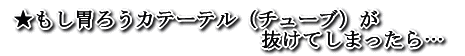 ★ もし胃ろうカテーテル（チューブ）が抜けてしまったら…